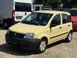 Fiat Panda 1.2 8V Dynamic - Fiat Panda Gebrauchtwagen in Mönchengladbach