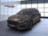 Ford Kuga ST-Line X Sportpaket Bluetooth Navi LED - Ford Kuga: Sport