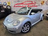 Volkswagen New Beetle Cabriolet United*Tüv & Service NEU* - Volkswagen New Beetle: Cabrio