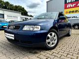 Audi A3/2 HAND/KLIMA/4SEASON/ - Audi A3 aus 1998