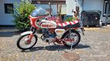 Mz TS 250/1 - Offers matching your search criteria