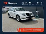 Mercedes-Benz GLK 250 CDI 4Matic Bi-Xenon AHK SH PDC NAVI e... - Mercedes-Benz GLK 250 Gebrauchtwagen