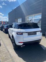 Andere Range Rover Evoque 2.2 Automatik Bj 2013 - Andere mit Diesel-Antrieb