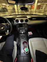 Ford Mustang 5.0 Ti-VCT V8 GT Auto GT - Ford Mustang in Bonn