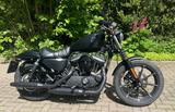 Harley-Davidson XL883 Sportster IRON - Angebote