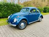 Volkswagen Käfer Winkermodell TÜV 09.26 - Volkswagen Käfer aus 1960 mit Benzin-Antrieb: Kleinwagen