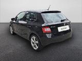 Skoda FABIA Joy 1.2 TSI - Skoda Fabia Gebrauchtwagen in Mannheim