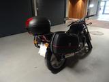 Suzuki VX 800 - SUZUKI VX 800
