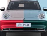 GWM Ora 03 (400pro, Wäpu) 6xFarbe, für ZUL im Mai - GWM Ora 03 New cars