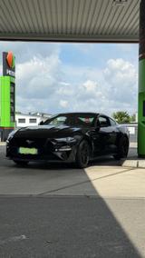 Ford Mustang Fastback 5.0 Ti-VCT V8 GT - Ford Mustang in Ludwigshafen