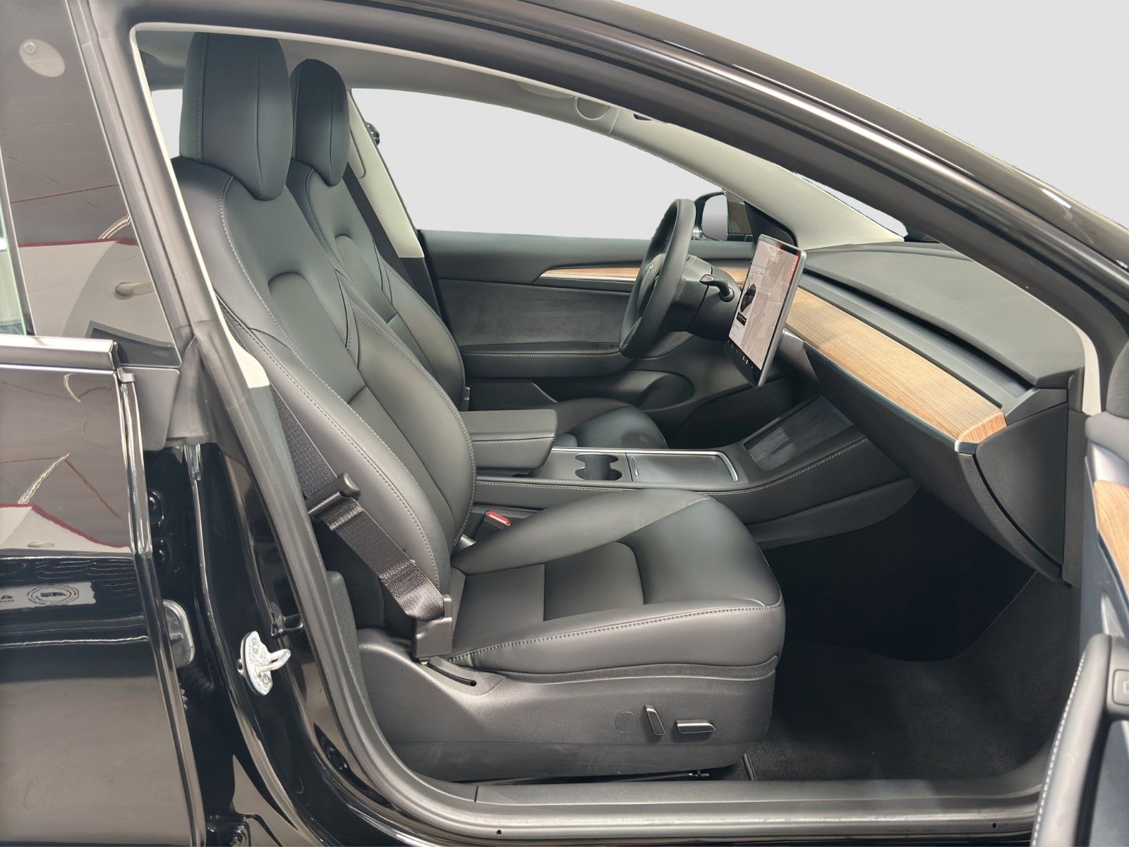 Tesla Model 3 Long Range RWD LED ACC LEDER PANO KAMERA foto 9