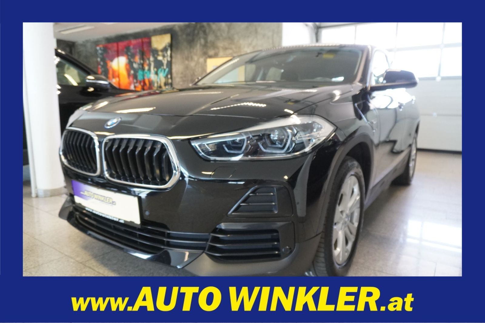BMW X2 xDrive25e PHEV Aut./Virtual/Navi/Kamera/LED