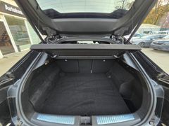 Fahrzeugabbildung Rafale 200 E-Tech Full Hybrid Esprit Alpine HUD