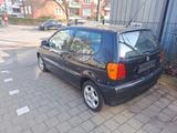 Volkswagen Polo 1.4 44kW Trendline Trendline - gebrauchte VW Polo aus dem Jahr 1996