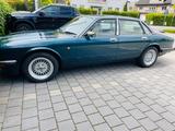 Jaguar XJ40 seltener Schalter  - Jaguar XJ40