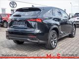 Lexus NX 300 h 2.5 E-Four - Lexus aus 2019