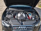 Audi S5 3.0 TFSI S tronic quattro - - Audi S5: Sportwagen