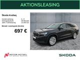 Skoda Kodiaq Selection 2,0 TDI 142 kW 4x4 Standhzg AHK
