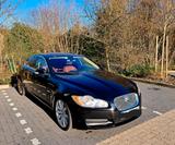 Jaguar XF 2.7 L V6 Diesel Premium Luxury - TÜV NEU - Jaguar XF: 2.7