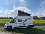 Knaus Boxlife 540 MQ (2025) Platinum Edition  - Knaus Wohnmobile & -wagen in München