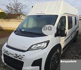 Weinsberg CaraBus 600 DQ EDITION Fire Hubbett vorne - Weinsberg Carabus