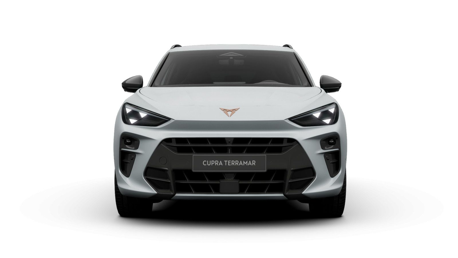 Cupra Terramar - Bild 2