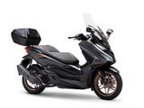 Honda NSS 125 Forza 2025 Special Edition !Aktion! - VON 81 BIS 125 CCM