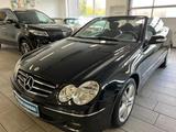 Mercedes-Benz CLK 200 Kompressor/Cabrio/Leder/Navi - Mercedes-Benz CLK 200 in Essen