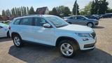 Skoda Kodiaq 1.4 TSI ACT 4x4 Sportline Sportline - Skoda Kodiaq: Sportline