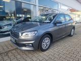 Skoda Fabia Selection 1.0TSI DSG/LED/SmartLink/SHZ/GRA