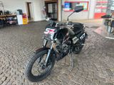 FB Mondial Flat Truck 125*1Hand*Wenig KM* - FB MONDIAL MOTORRAD