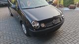 Volkswagen Polo 1.2 47kW Trendline Trendline - Volkswagen Polo aus 2004 mit Benzin-Antrieb: Kleinwagen, mit Klimaanlage, 1.2