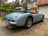 Austin Healey Austin Heatley 3000 BJ8 MK III 1965 - Austin Healey: Mk1
