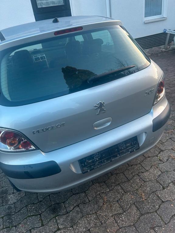 Peugeot 307