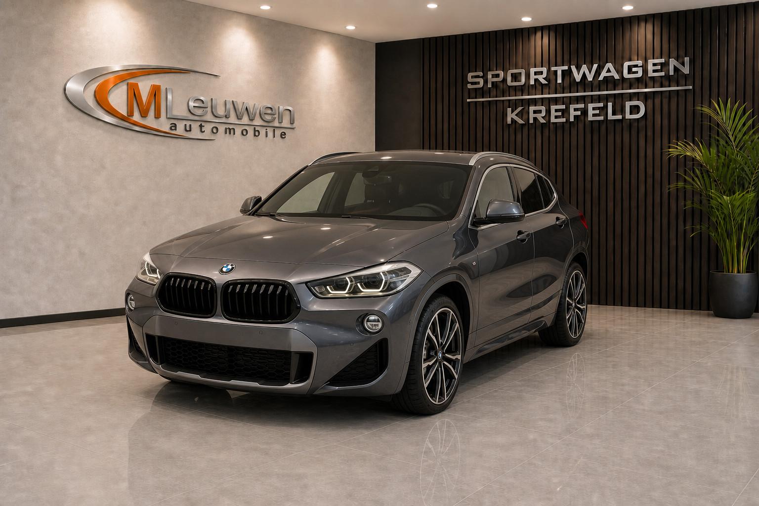 BMW X2 sDrive 20 i M Sport X *PANO*HUD*18"*LED*NAVI*