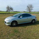 Peugeot 307 CC Sport 140 Sport - Peugeot 307 aus 2008