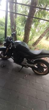 Honda Hornet PC 41 - MOTORRAD VON 501 BIS 750 CCM