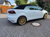 Volkswagen Golf 2.0 TSI GTI DSG Cabriolet GTI Leder DDC - Volkswagen Golf mit Benzin-Antrieb: Cabrio, 2.0