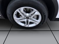 Audi Q5 - Vorschau Bild 8