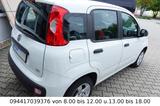 Fiat Panda Easy Klima Sitzheizung - gebrauchte Fiat Panda aus dem Jahr 2020