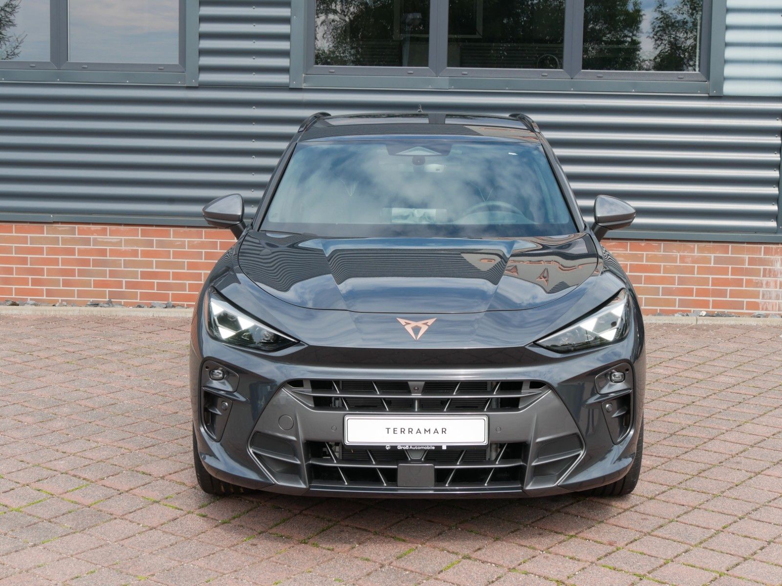 Cupra Terramar - Bild 4