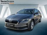 Skoda Octavia Combi 110kW 2.0 TDI Selection ACC Navi - Skoda Neuwagen