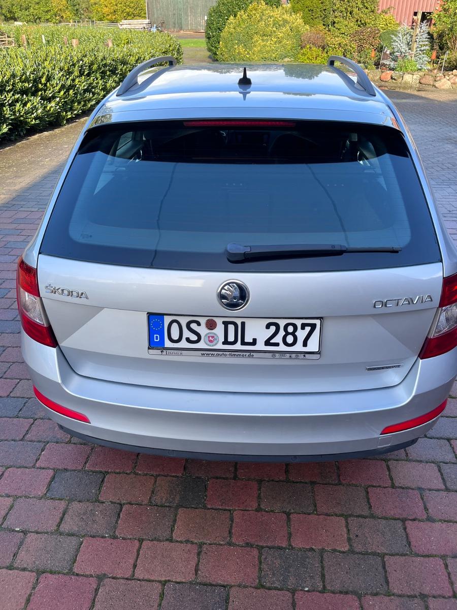 Skoda Octavia 2015 — photo 5