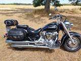 Yamaha XV 1600 A Wild Star - YAMAHA XV 1600 WILD STAR