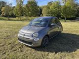 Fiat 500 Ellenator 1.0 HYBRID Fahren ab 16! Wie NEU - Fiat 500 Ellenator Gebrauchtwagen