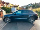 Porsche Macan S / Turbo Rad / Panorama / Leder - Porsche Gebrauchtwagen in Mannheim