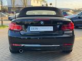 BMW 218 Cabrio Luxury Line *Leder*LED* - BMW 218 mit Benzin-Antrieb: Cabrio, Automatik