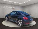 Volkswagen Beetle +PANORAMADACH+FENDERSOUND+LEDER+ - Volkswagen Beetle: Fender
