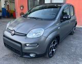 Fiat Panda 1.0 FireFly Hybrid Sport -Km52000- - Fiat Panda: Km H