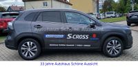 Suzuki (SX4) S-Cross - Vorschau Bild 6